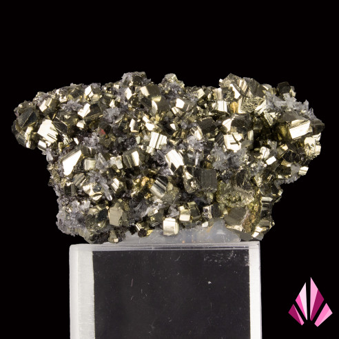Pyrite sur quartz de Zlatograd, Bulgarie, vue principale des cristaux brillants.
