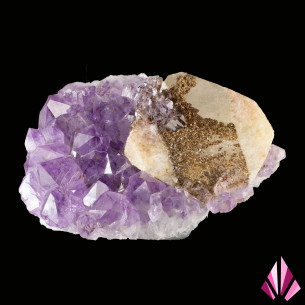 Grand cristal de calcite sur améthyste du Minas Gerais, entouré de cristaux violets d’améthyste