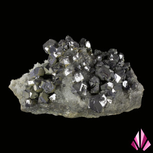 Galène argentifère sur quartz Madan Bulgarie