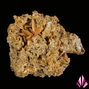 Wulfénite du Maroc – vue de face des cristaux tabulaires jaune orangé