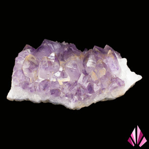 Améthyste du Brésil, groupe dense de grands cristaux violets sur matrice claire 2