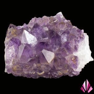 Améthyste du Brésil, groupe dense de grands cristaux violets sur matrice claire