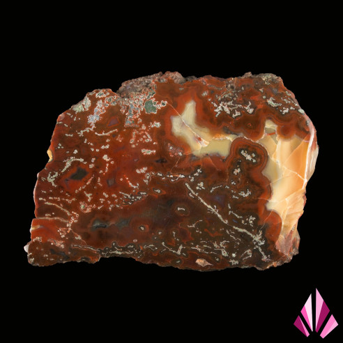 Fossil wood - Greece | Ref. 320