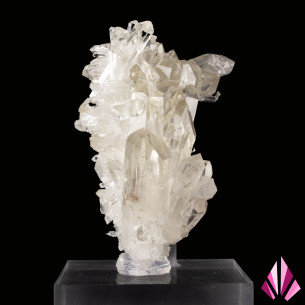 Quartz en buisson - La Gardette, France (#337)