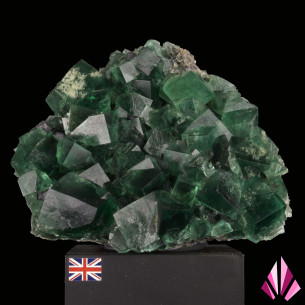 Fluorine verte de Diana Maria, Angleterre, cristaux cubiques photographiés en studio