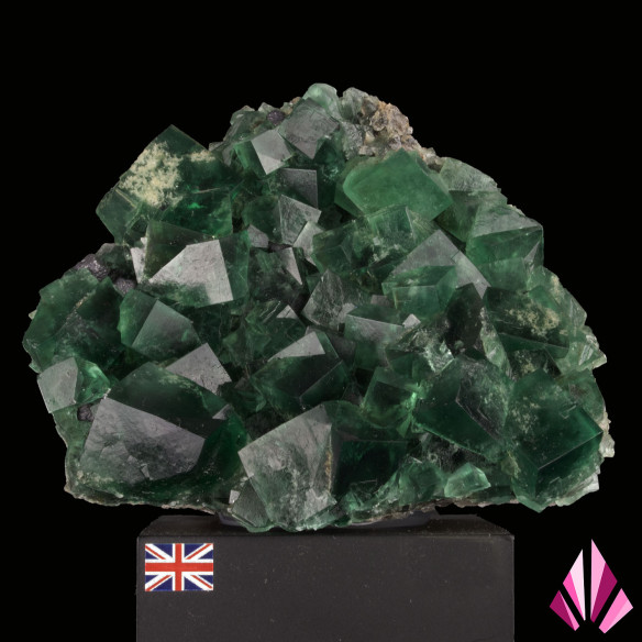 Fluorine verte de Diana Maria, Angleterre, cristaux cubiques photographiés en studio
