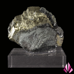 Pyrite dorée et hématite noire de l’île d’Elbe, Italie, sur socle en acrylique.