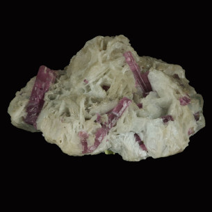 Tourmaline bicolore du Minas Gerais, Brésil, cristaux roses sur gangue claire