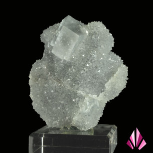Fluorine sur quartz Burc (#457) en vente sur Le Monde Minéral .