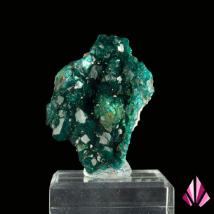 Dioptase provenant de la RD Congo (#459)