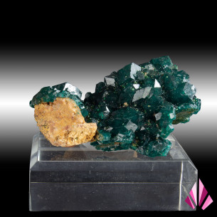 Dioptase récoltée en RD Congo (#473).